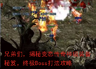ֵǣر̬װţռBoss򷨹
