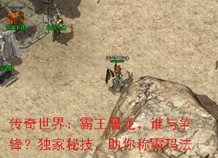 磺˭棿ؼư귨