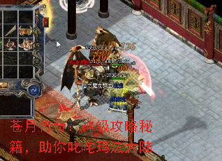´棺񼶹ؼ߳귨½