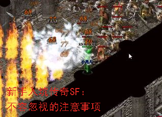 ӴSFݺӵע
