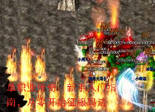 ְҵ棺ָϣ㿪ʼ귨