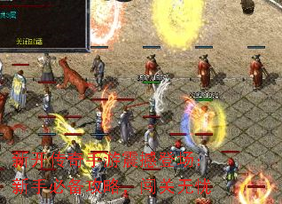 ¿𺳵ǳֱرԣ