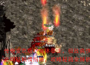 ̬棺屩ߣˬ˾ָ·ؼȫ