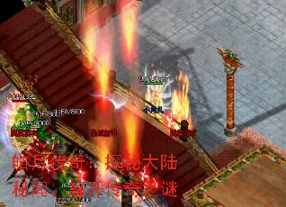 ´棺̽ش½ţ⿪֮