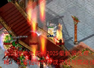 ɽѰ2025ȹԣ׵ɷʵս