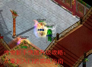 ֿԣ㵽ŵʵսָ