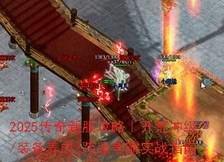 2025·ԣĳ弶/װ/ʵսָ