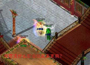 ѡʲôְҵˬ