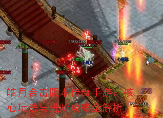 ºϻ汾Σ淨׹ȫ
