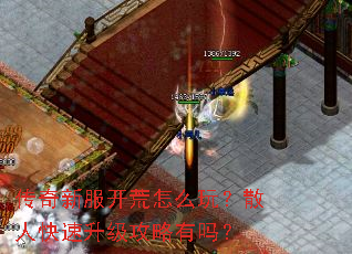 ·ô棿ɢ˿