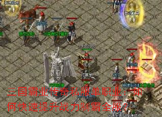 ҵ˽ְҵοսưȫ