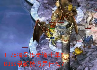 1.76ƷʿBOSS¼ʲô