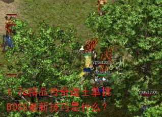 1.76ƷʿBOSS¼ʲô