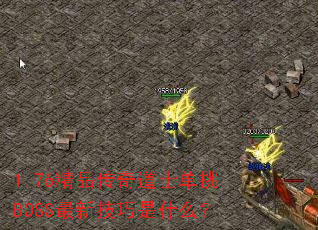 1.76ƷʿBOSS¼ʲô