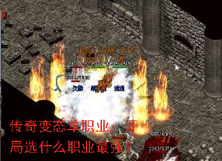 ְ̬ҵѡʲôְҵǿ