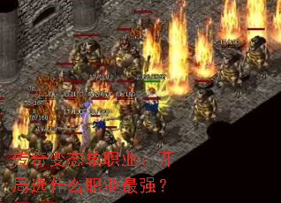ְ̬ҵѡʲôְҵǿ