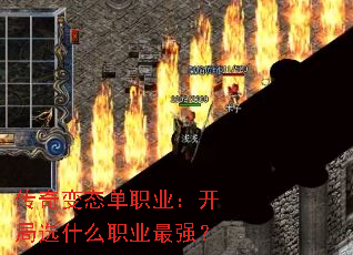 ְ̬ҵѡʲôְҵǿ