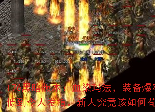 176ڰ汾ѪȾ귨װʵ͵˷ָ˾ι