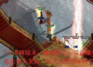 176ڰ汾ѪȾ귨װʵ͵˷ָ˾ι
