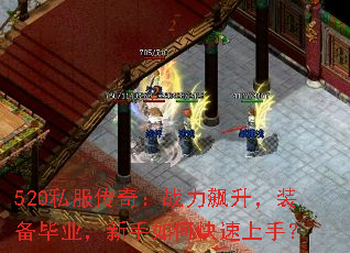 520˽棺սװҵο֣