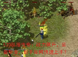 520˽棺սװҵο֣