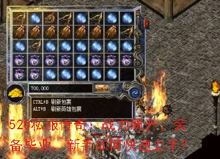 520˽棺սװҵο֣