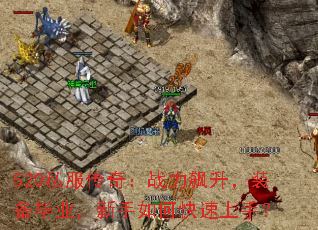 520˽棺սװҵο֣
