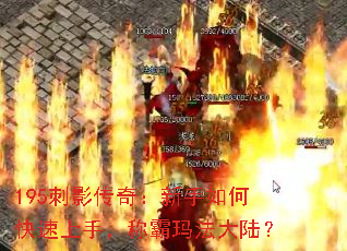 195Ӱ棺ο֣ư귨½