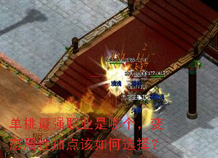 ǿְҵĸ̬Լӵѡ