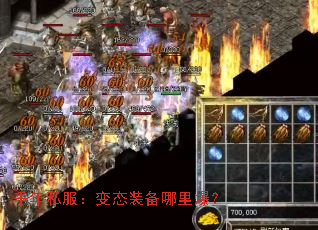 ǧ˽̬װﱬ