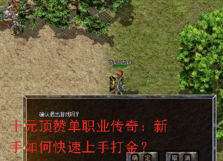 ʮԪ޵ְҵ棺οִ