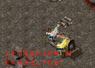 ʮԪ޵ְҵ棺οִ