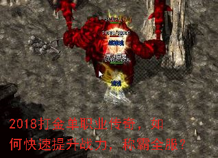 2018ְҵ棬οսưȫ