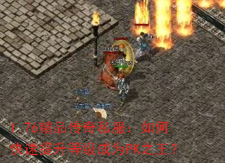 1.76Ʒ˽οȼΪPK֮