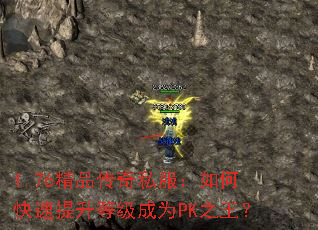 1.76Ʒ˽οȼΪPK֮