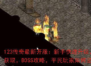 123¿ֿװȡBOSSԣƽϮ