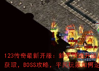 123¿ֿװȡBOSSԣƽϮ