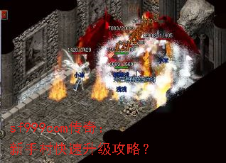 sf999com棺ִԣ
