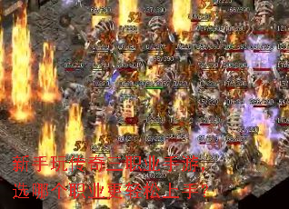 洫ְҵΣѡĸְҵ֣