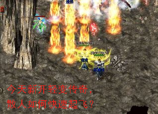 ¿䴫棬ɢοɣ
