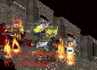 ¿䴫棬ɢοɣ