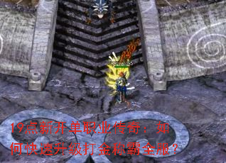 19¿ְҵ棺οưȫ