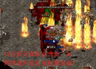 19¿ְҵ棺οưȫ