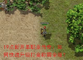 19¿ְҵ棺οưȫ