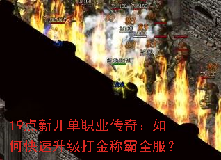 19¿ְҵ棺οưȫ
