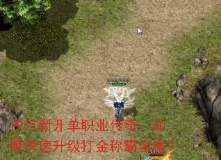 19¿ְҵ棺οưȫ