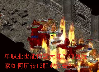 ְҵҲܳưԴ½ת12ְҵ棿