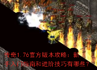 1.76ٷ汾ԣָϺͽ׼Щ