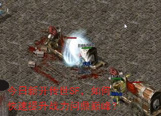 ¿SFοսʶ۷壿
