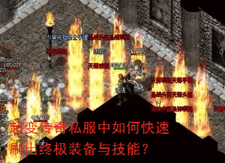 䴫˽οˢռװ뼼ܣ